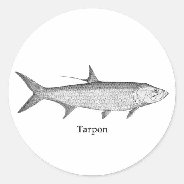 Adesivo Redondo Logotipo Tarpon (line art) (Frente)