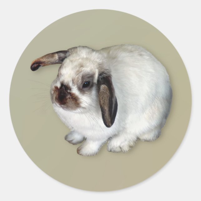 Adesivo Redondo Lop-Eared Bunny (Frente)