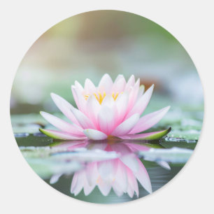 ADESIVO REDONDO LOTUS - ZEN BUDISMO