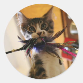 Adesivo Redondo Louco pela pena