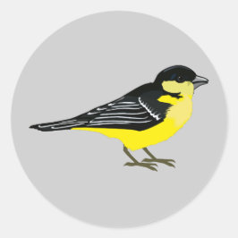 Adesivo Redondo Lovely Lesser Goldfinch