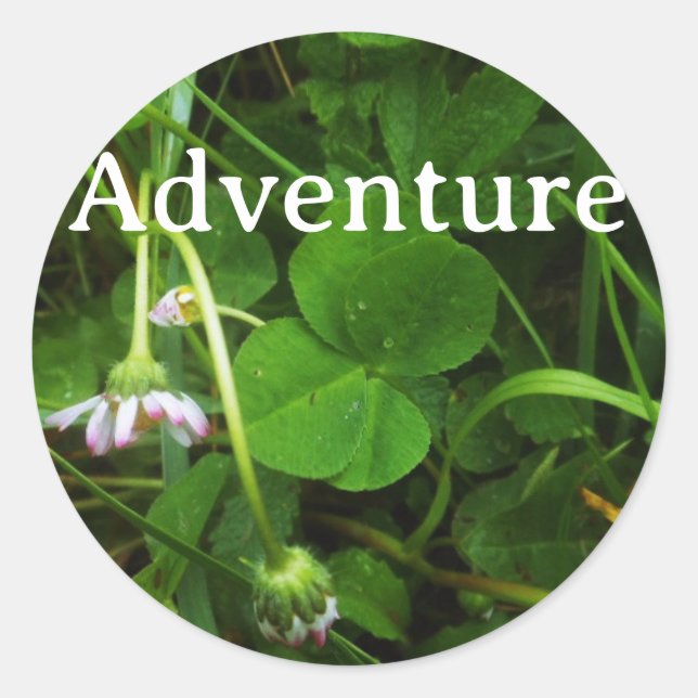 Adesivo Redondo Lucky Charm Sticker  (Frente)