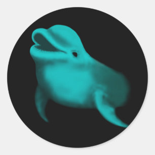 Adesivo Redondo Lucky Dolphin
