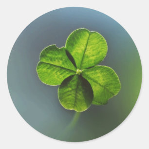 Adesivo Redondo Lucky Green - Quatro Folhas