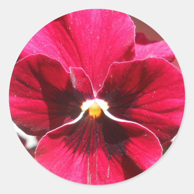 Adesivo Redondo Lucrezia (Frente)