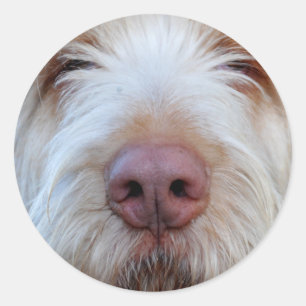 Adesivo Redondo Luigi's Booper Sticker