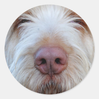 Adesivo Redondo Luigi's Booper Sticker