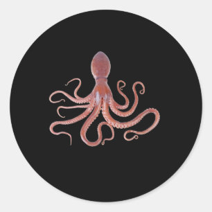 Adesivo Redondo Lula Gigante Do Oceano Para Amantes de os animais