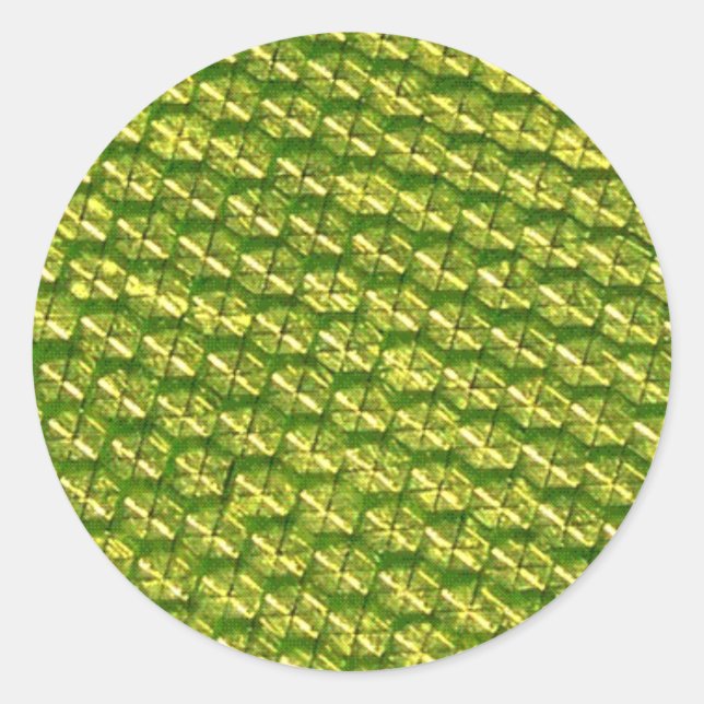 Adesivo Redondo Luminosidade! (Frente)