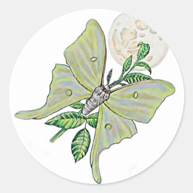 Adesivo Redondo Luna Moth (Frente)