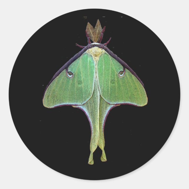Adesivo Redondo Luna Moth (Frente)