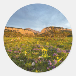 Adesivo Redondo Luzes do Nascer do Sol Blackleaf Canyon