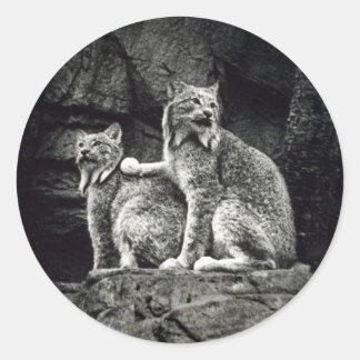 Adesivo Redondo Lynx