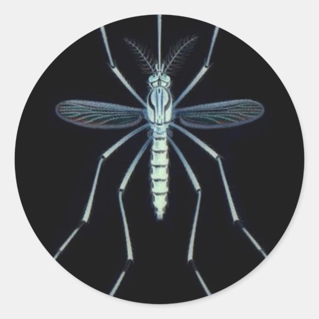 ADESIVO REDONDO M ENERGIA, (Frente)