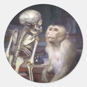 Adesivo Redondo Macaco antes do esqueleto