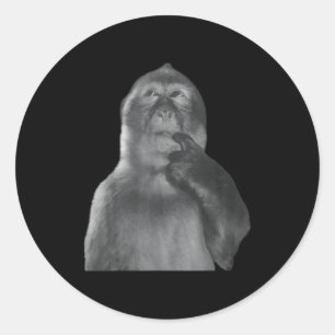 Adesivo Redondo Macaco Pensativo Engraçado Meme Macaco Curioso Rot