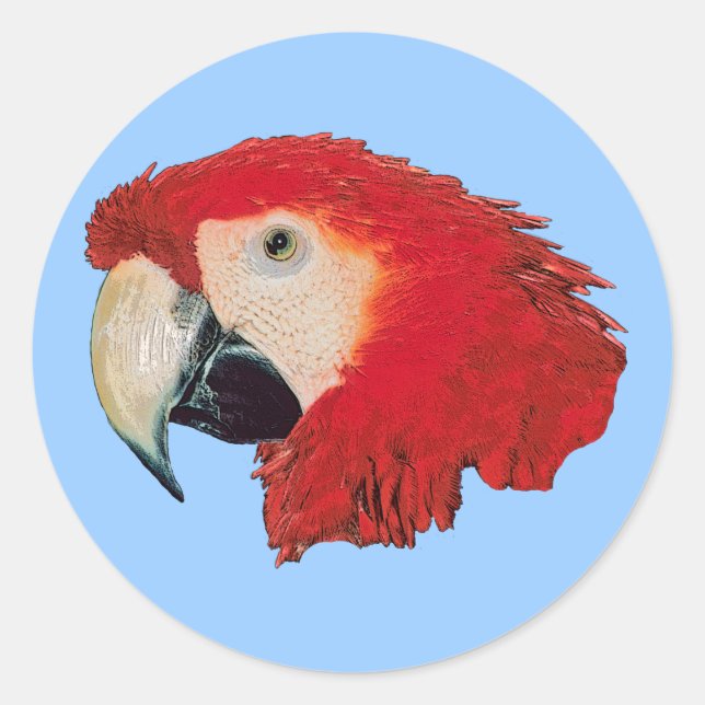 Adesivo Redondo Macaw Parrot Bird Stickers (Frente)