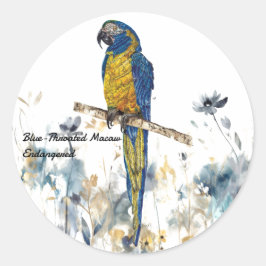 Adesivo Redondo Macaw Pintado Com Mão Ameaçado