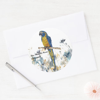 Adesivo Redondo Macaw Pintado Com Mão Ameaçado