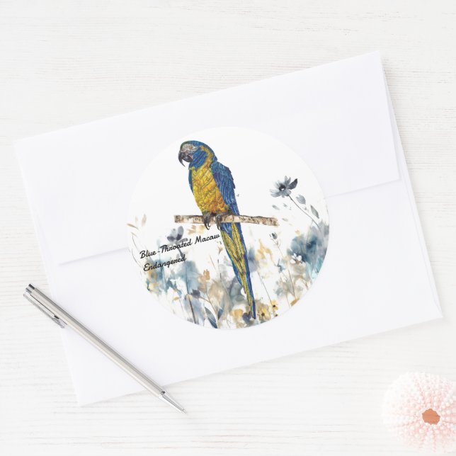 Adesivo Redondo Macaw Pintado Com Mão Ameaçado (Envelope)