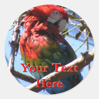 Adesivo Redondo Macaw Stickers
