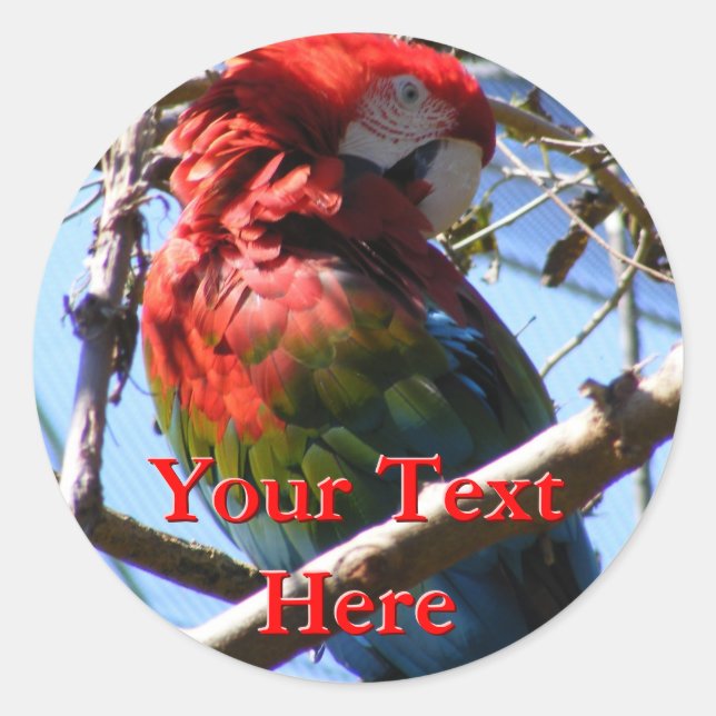 Adesivo Redondo Macaw Stickers (Frente)