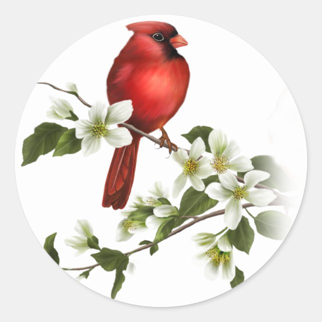 Adesivo Redondo Macho Cardinal Dogwood Blossoms Branker (Frente)