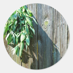 Adesivo Redondo Madeira de galinha