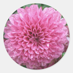 Adesivo Redondo Mãe cor-de-rosa