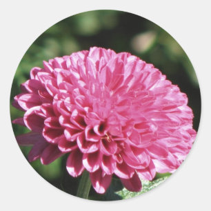 Adesivo Redondo Mãe cor-de-rosa