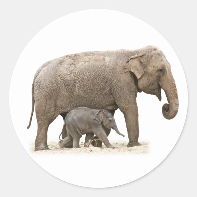 Adesivo Redondo Mãe e Elefante Bebê (Frente)