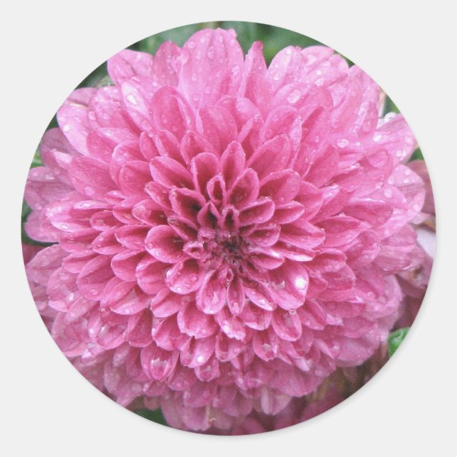 Adesivo Redondo Mãe rosa (Frente)