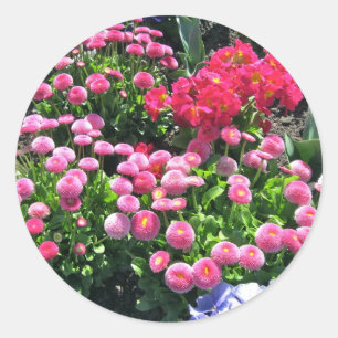 Adesivo Redondo Mães de Jardim Rosa