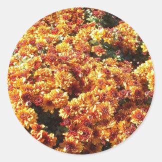 Adesivo Redondo Mães de outono