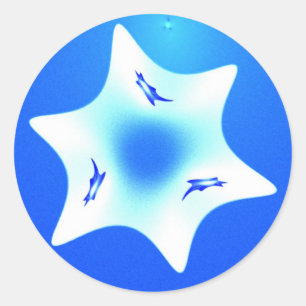 Adesivo Redondo Magen Lavan (White Star)