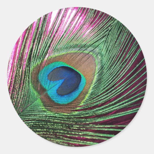 Adesivo Redondo Magenta Peacock (Frente)