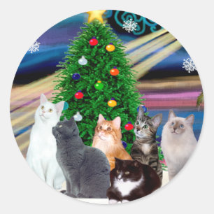 Adesivo Redondo Magia de Natal - Seis gatos (variedade)