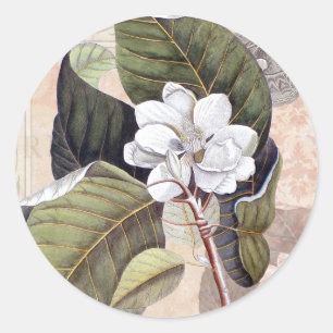 Adesivo Redondo Magnólia Branca Flor Vintage Botânica