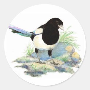 Adesivo Redondo Magpie - pássaro da aguarela