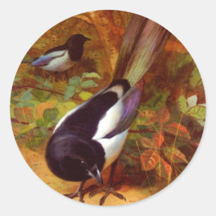 Adesivo Redondo Magpies