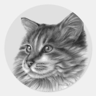 Adesivo Redondo Maine Coon Cat