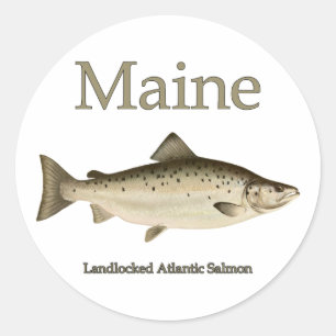 Adesivo Redondo Maine Landlocked Salmon