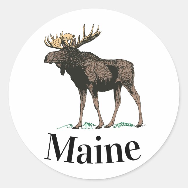 Adesivo Redondo Maine Moose (Frente)