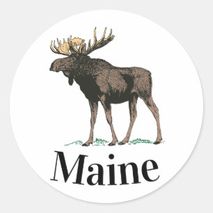 Adesivo Redondo Maine Moose