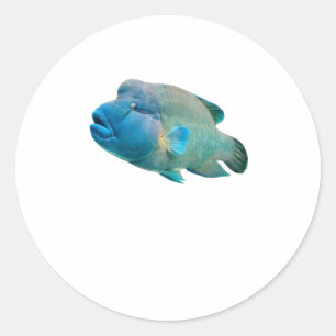 Adesivo Redondo Majestoso Peixe-Napoleão Bali Art).