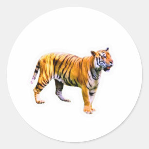 Adesivo Redondo Majestoso Tigre de Sumatra - Conservação da Vida S