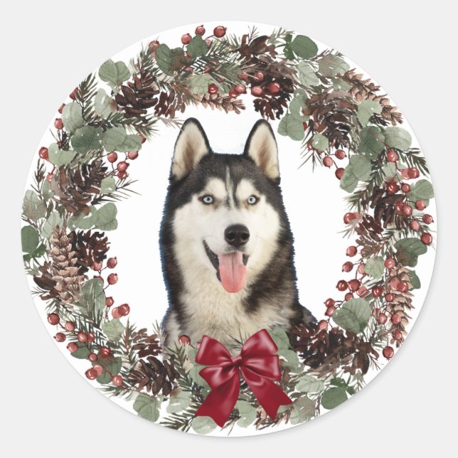 Adesivo Redondo Malamute Cão Vermelho Arco Pinecone Muro de Natal (Frente)