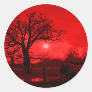 ADESIVO REDONDO MALAS