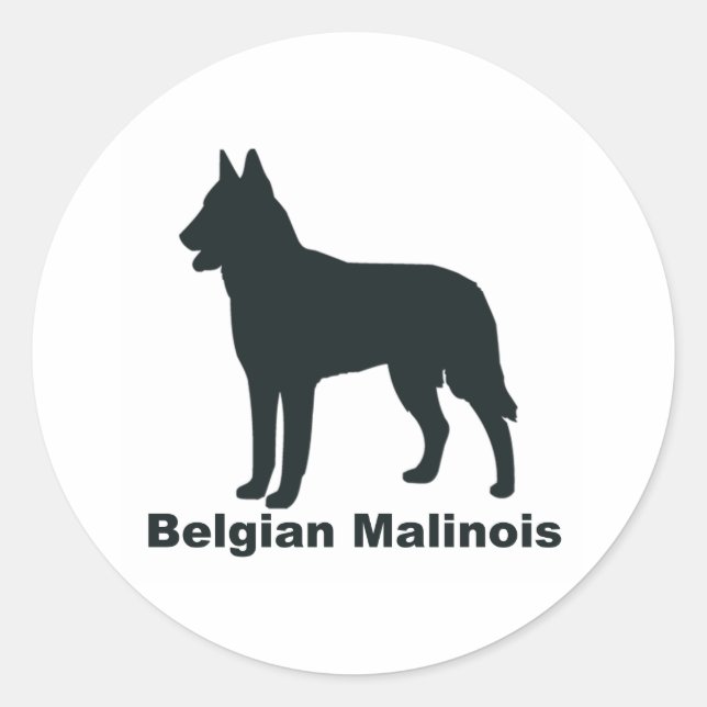 Adesivo Redondo Malinois belgas (Frente)
