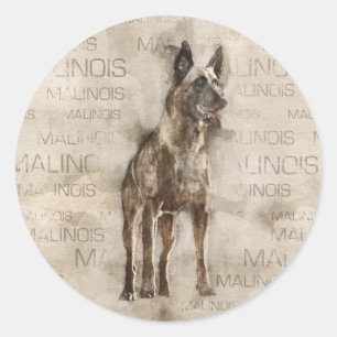 Adesivo Redondo Malinois belgas - Mechelaar - Maligator